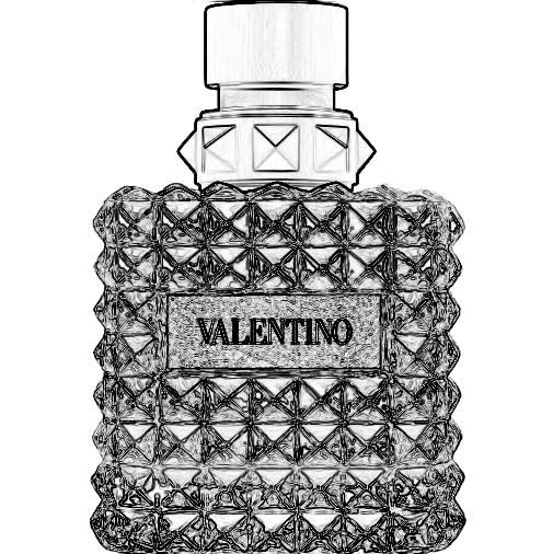 Donna Born In Roma Perfume